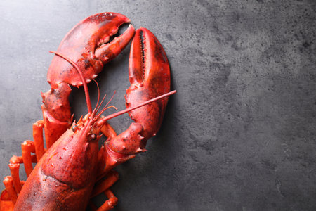 Delicious boiled lobster on gray table, top view. Space for textの写真素材