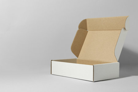 One open cardboard box on white background. Mockup for design