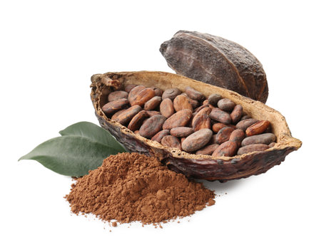 Cocoa pods with beans, powder and leaves isolated on whiteの写真素材