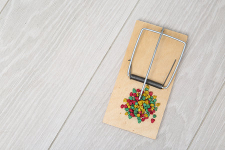 Mouse trap with bait on floor indoors, top view. Space for text