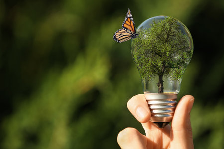 Woman holding light bulb with seedling inside and butterfly on blurred background, closeup. Green energy conceptの写真素材
