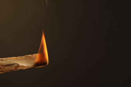Burning palo santo stick against dark background, closeup. Space for textの写真素材