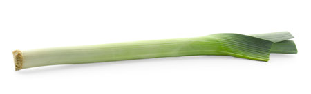 One fresh leek isolated on white. Spicy vegetable