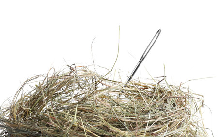 Sewing needle in hay on white backgroundの写真素材