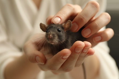Woman with adorable little rat indoors, closeupの写真素材