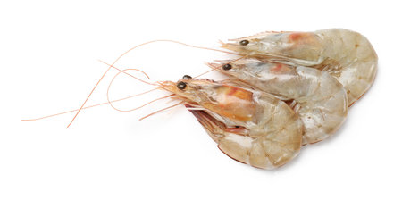 Fresh raw shrimps isolated on white, top viewの写真素材