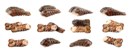 Tails of fresh lobsters isolated on white, setの写真素材