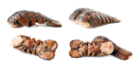 Tails of fresh lobsters isolated on white, setの写真素材
