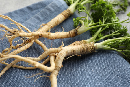 Parsley roots with leaves on grey table, closeupの写真素材