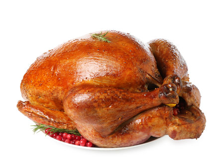 Whole baked turkey with cranberries and rosemary isolated on whiteの写真素材