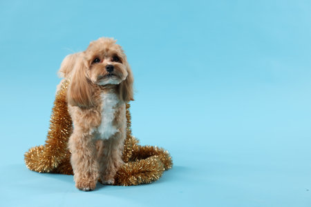 Cute dog with shiny tinsel on light blue background. Space for textの写真素材