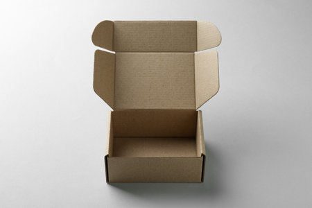 One open cardboard box on white background. Mockup for design
