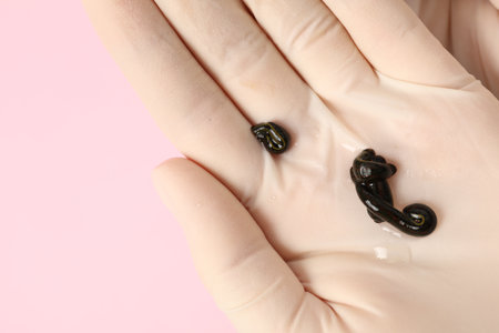 Woman holding medicinal leeches on pink background, closeup