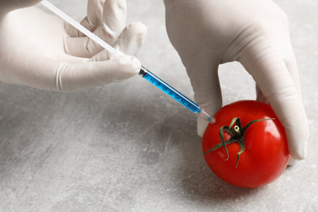 GMO concept. Scientist injecting something into fresh tomato at grey table, closeupの写真素材