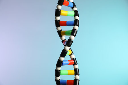DNA structure model on color background, closeupの写真素材
