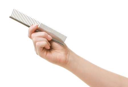 Woman with comb for pet grooming on white background, closeupの写真素材