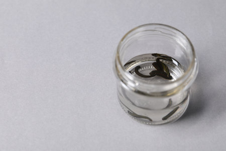 Medicinal leeches in glass jar on gray background, space for text
