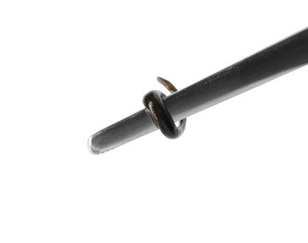 Tweezers with leech isolated on white