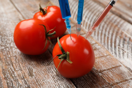 GMO concept. Tomato with syringes on rustic wooden table, closeupの写真素材