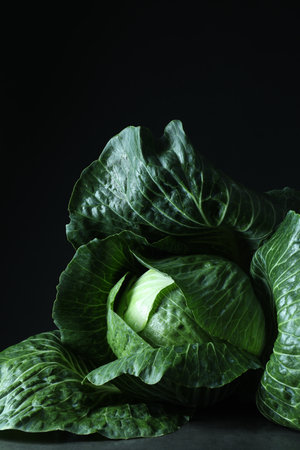 Whole ripe head of cabbage on table against dark backgroundの写真素材