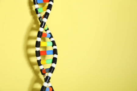 DNA structure model on yellow background, space for textの写真素材