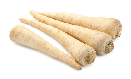 Many fresh parsley roots isolated on whiteの写真素材