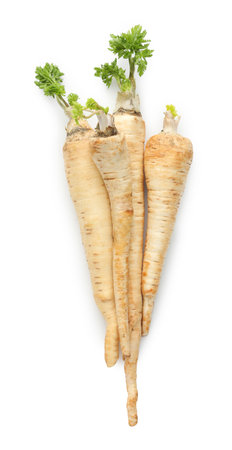 Many fresh parsley roots isolated on white, top viewの写真素材