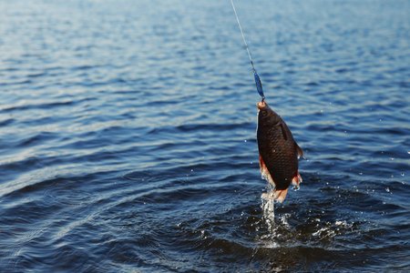 Catching fish on hook in river. Fishing dayの写真素材