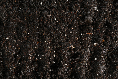 Texture of fresh soil as background, closeupの写真素材