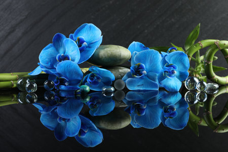Beautiful blue orchid flowers, decorative stones and bamboo stems on mirror surfaceの写真素材