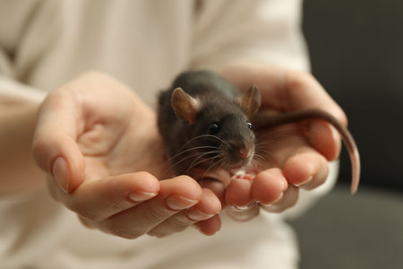 Woman with adorable little rat indoors, closeupの写真素材