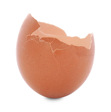 One piece of broken eggshell isolated on whiteの写真素材