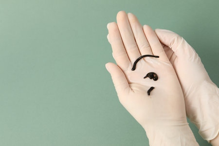 Woman holding medicinal leeches on green background, closeup. Space for textの写真素材