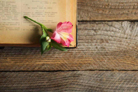 Book with beautiful flower on wooden table, top view. Space for textの写真素材