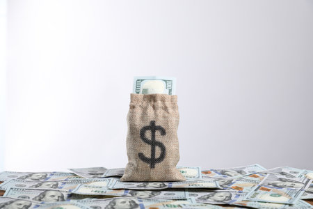 Burlap sack with dollar banknotes against light backgroundの写真素材