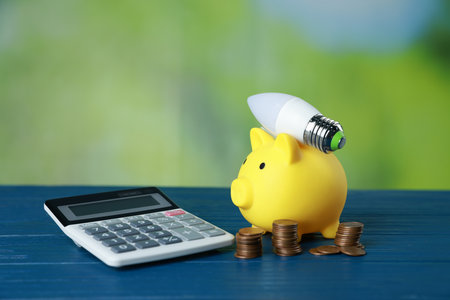Piggy bank, calculator, coins and light bulb on blue wooden table outdoors. Energy saving conceptの写真素材