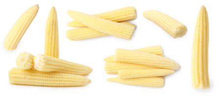 Yellow baby corn cobs isolated on whiteの写真素材