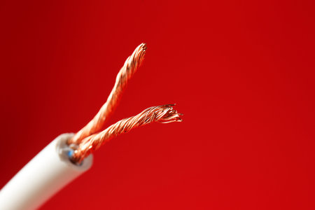 Stripped electrical wire with copper strands on red background, closeup. Space for text