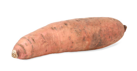 One fresh sweet potato isolated on white. Vegetable rootの写真素材