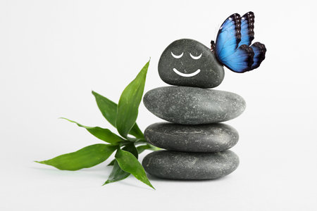 Butterfly on stone with smiling face, stack of pebbles and green branch on white background. Harmonyの写真素材