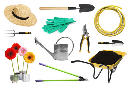 Set of different gardening tools and potted flowers isolated on whiteの写真素材