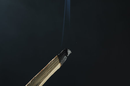 Smoldering palo santo stick against black background, closeup