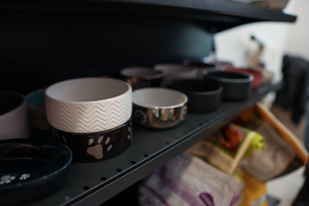 Different feeding bowls on shelf in pet shop, closeupの写真素材