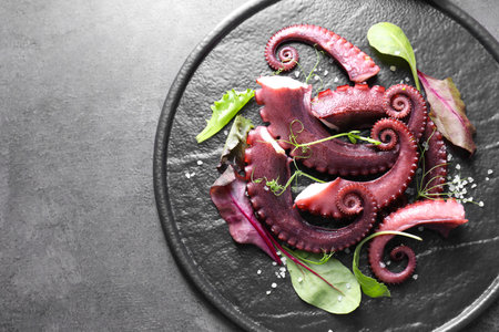 Tasty boiled octopus tentacles, microgreens and salt on grey textured table, top view. Space for textの写真素材