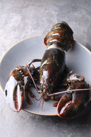 One raw lobster on grey table, closeupの写真素材