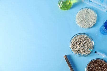 GMO concept. Petri dishes with cereal grains, syringe and laboratory glassware on table, flat lay. Space for textの写真素材