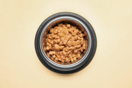 Wet pet food in feeding bowl on pale yellow background, top view