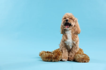Cute dog with shiny tinsel on light blue background. Space for textの写真素材