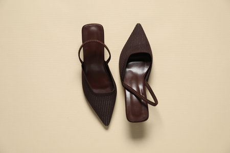 Stylish brown shoes on beige background, flat lay