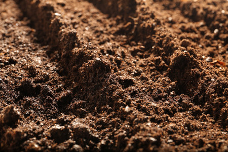 Texture of fresh soil as background, closeupの写真素材